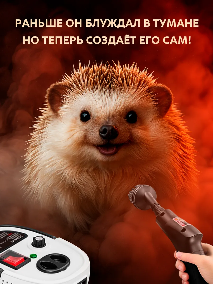 Пароочиститель домашний